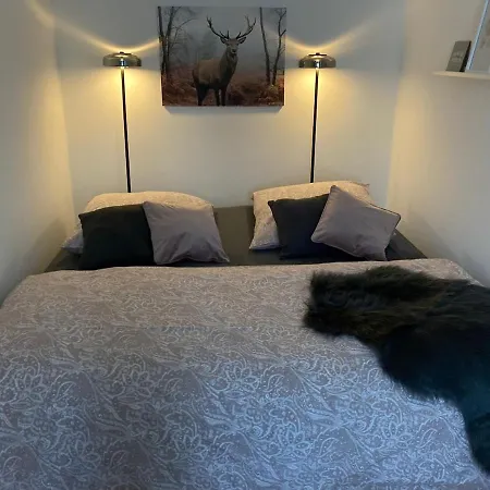 Am Salmtalradweg Region Eifel Mosel Apartment *