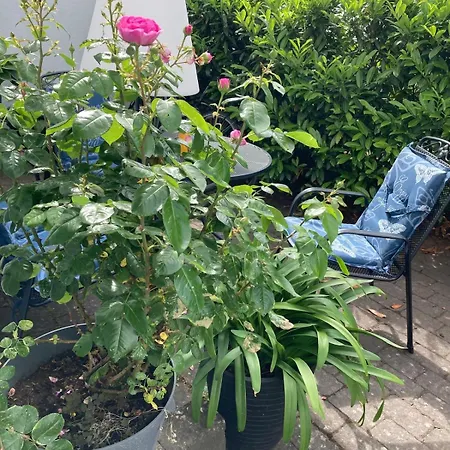 Am Salmtalradweg Region Eifel Mosel * Sehlem