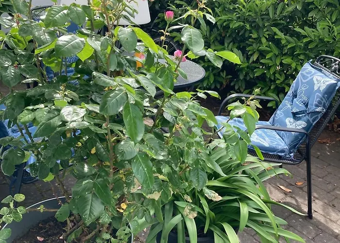 Am Salmtalradweg Region Eifel Mosel * Sehlem